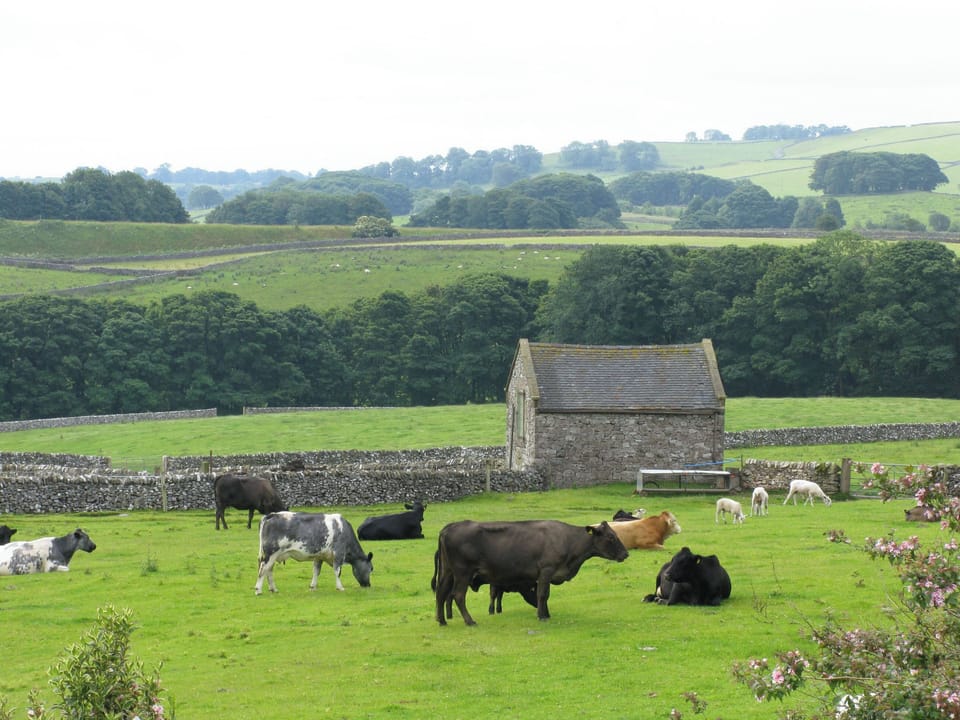 Double bedroom | Dawn Cottage, Cold Eaton, Alsop-en-le-Dale