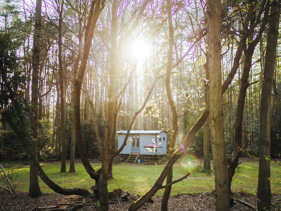 Outdoor area | Goosewing Hut - Rosslyn Glamping, Melton Constable