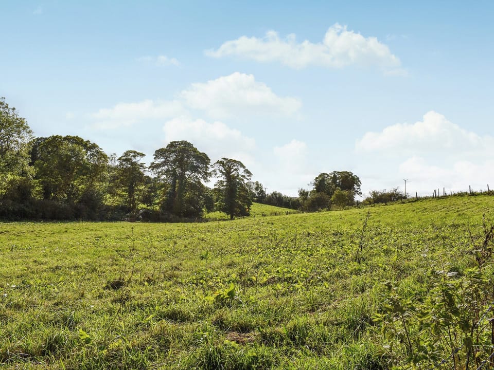 Surrounding area | Woodside Cottage, Witton Park, near Bishop Auckland