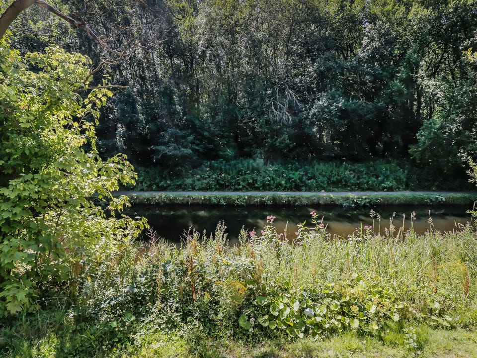 Surrounding area | Waterside Lodge Two - Ashgrove Country Park, Elland