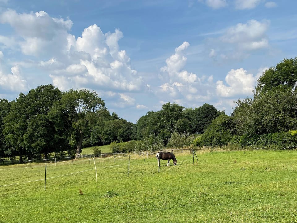 Surrounding area | Oakleigh, Holymoorside