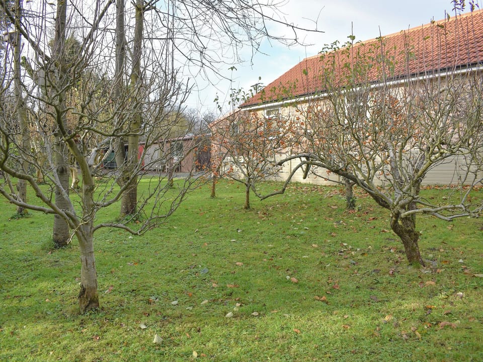 Garden | Snowdrop Cottage, Staveley, near Knaresborough