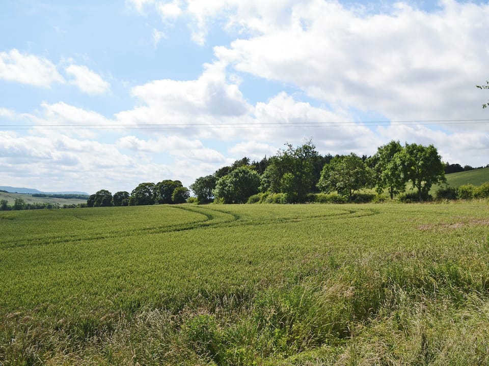 Aidan Cottage, near Chatton, Wooler and Alnwick
