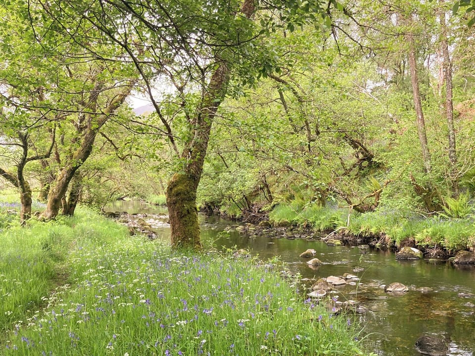 Surrounding area | Sonas, Torlundy