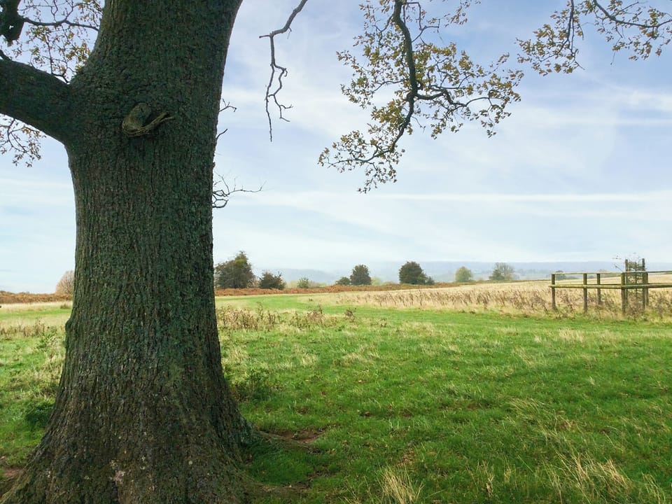 Westhope Common | Star Yard, Tenbury Wells