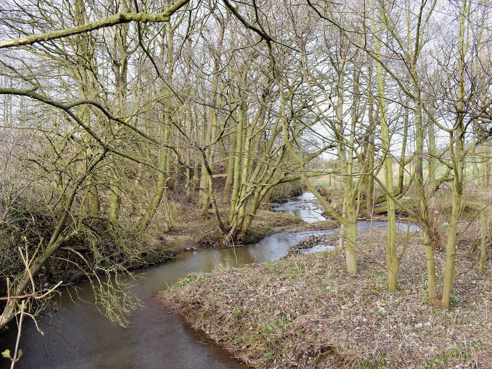 Surrounding area | Rupert&rsquo;s Stable - Cleveland View Cottages, Easby Grange, near Great Ayton
