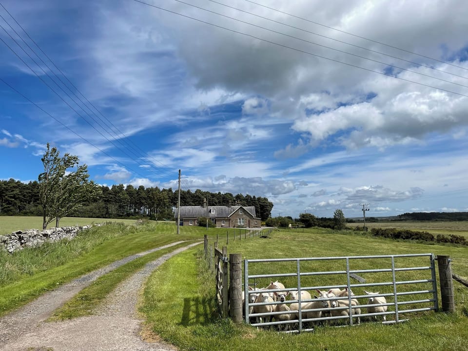 Setting | Birch Cottage - Easter Dalziel Farm Cottages, Dalcross