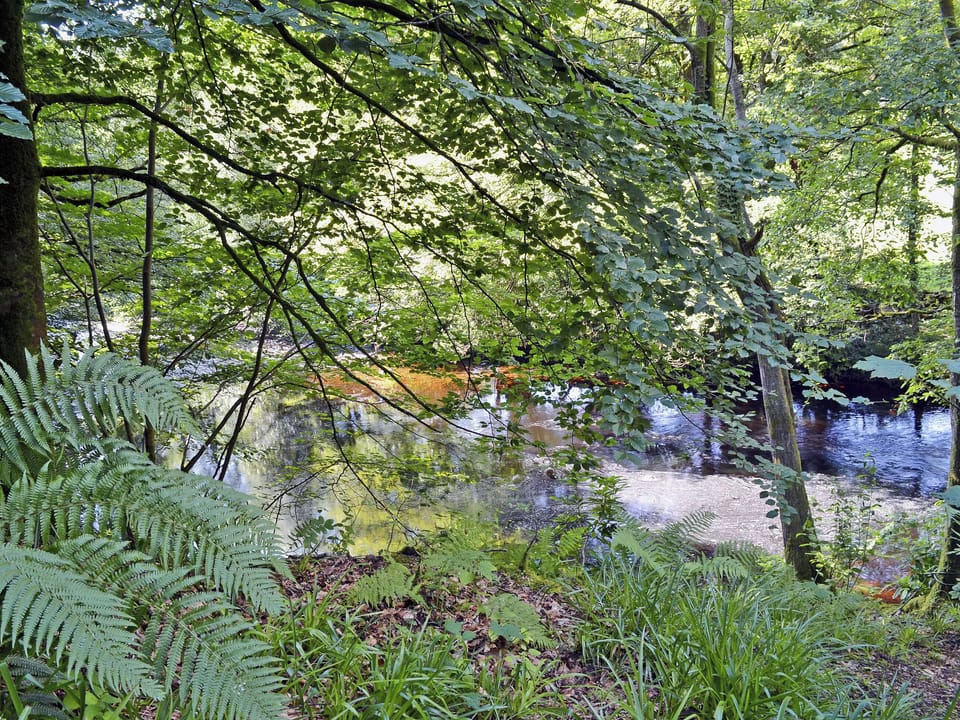 Local estate scenery | Gardener&rsquo;s Cottage, Palnure near Newton Stewart