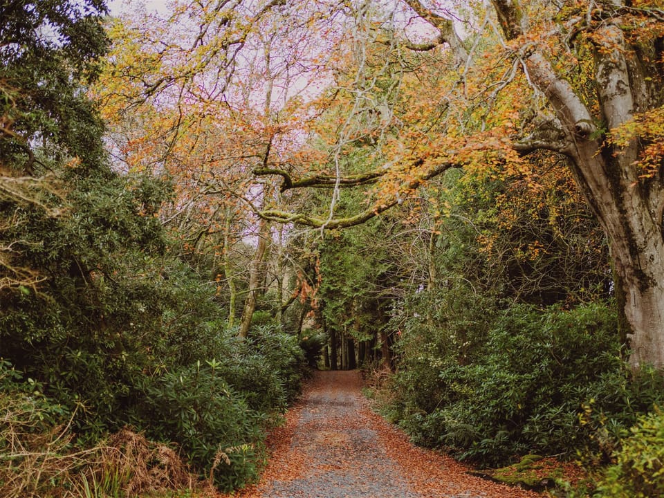 Surrounding area | Fawn&rsquo;s Velvet - Dunskey Estate, Portpatrick, near Stranraer