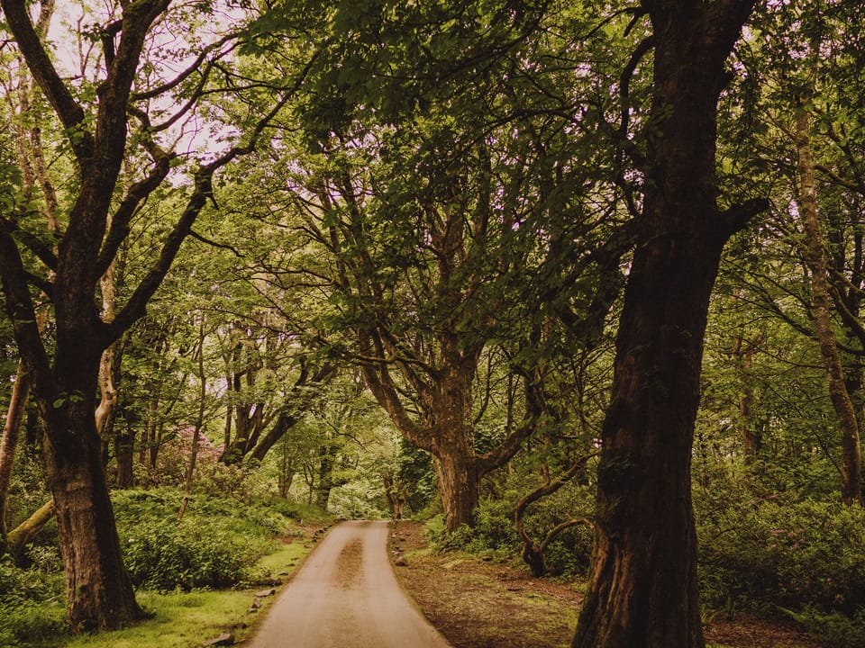 Garden and grounds | Fawn&rsquo;s Velvet - Dunskey Estate, Portpatrick, near Stranraer