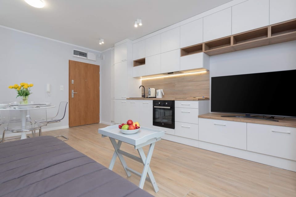 Functional kitchenette cabinets have been combined with a TV cabinet, the TV provides evening entertainment.