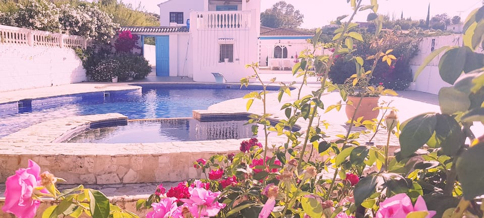 pool view