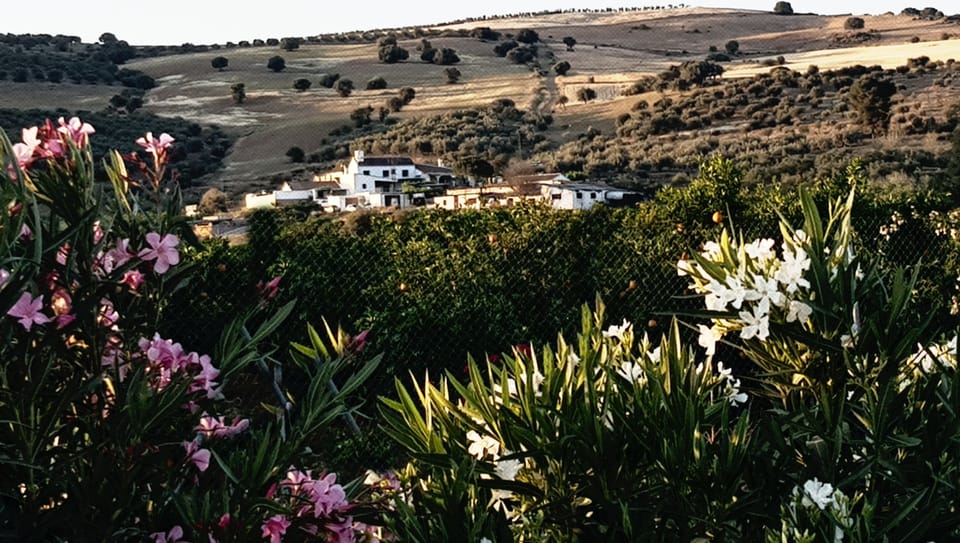 open countryside view