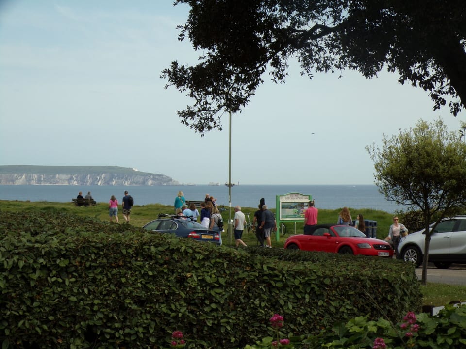 View from garden
