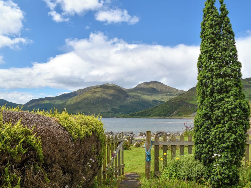 Garden | Market Stance, Glenelg