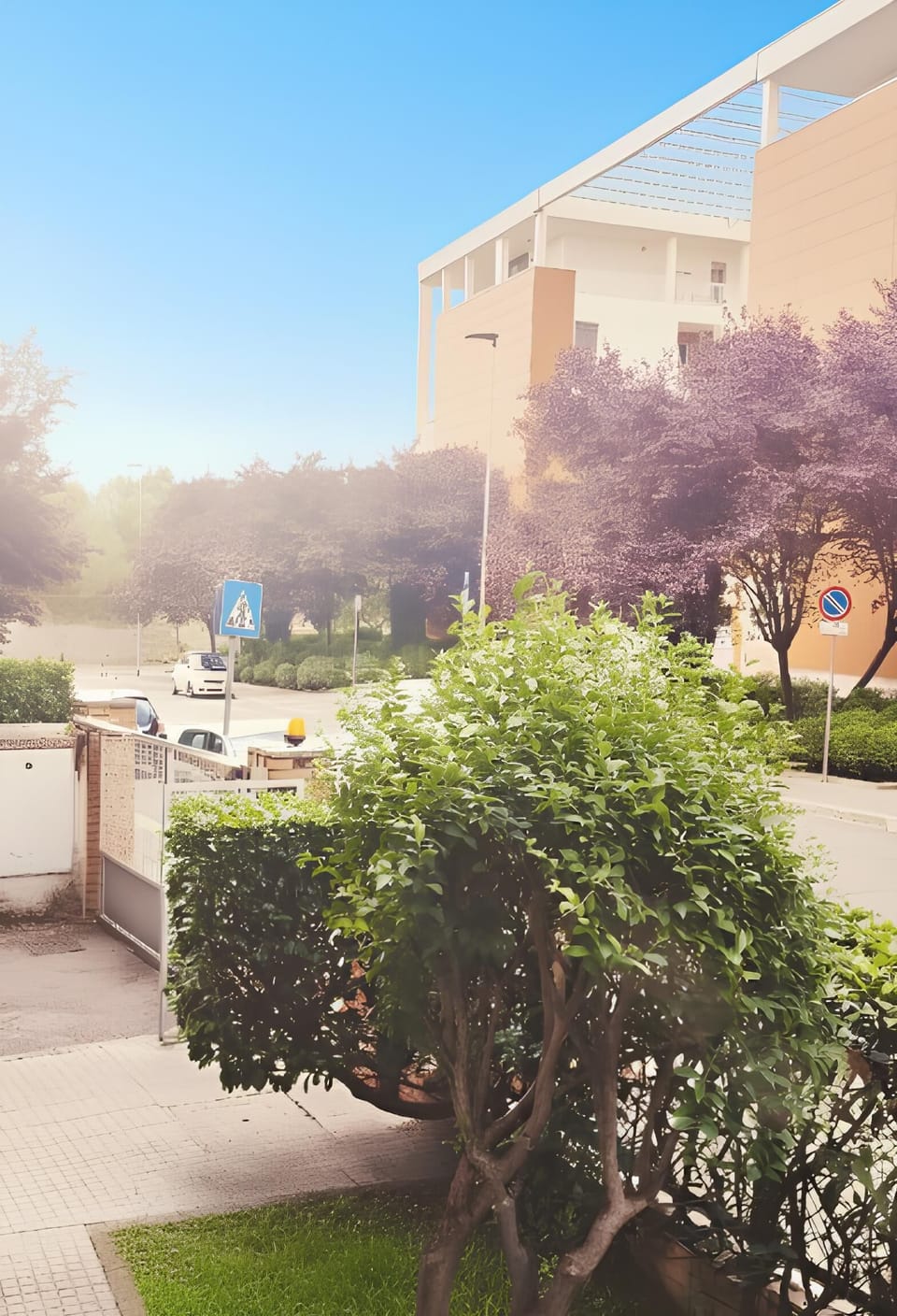 Property grounds