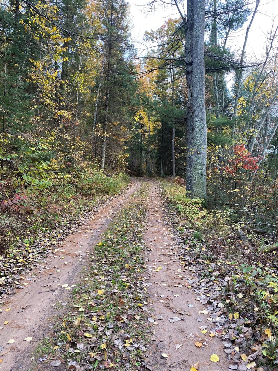 Nearby Peshtigo River State Forest
