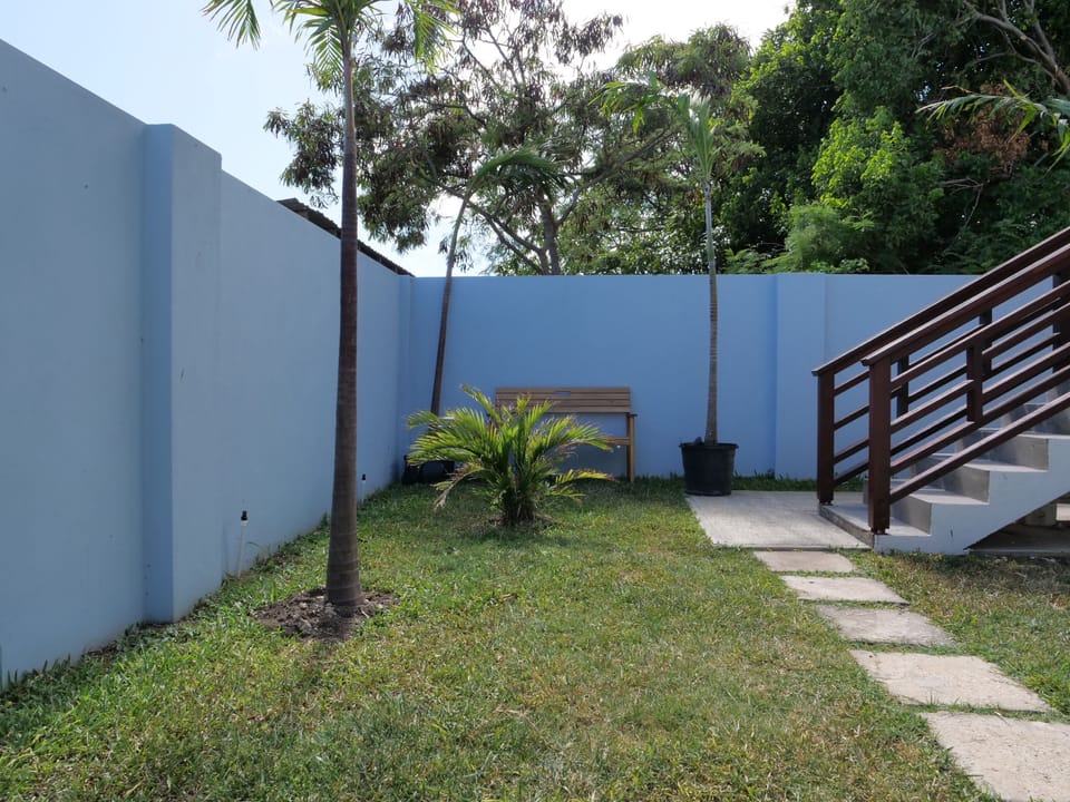 Quiet and relaxing garden area.