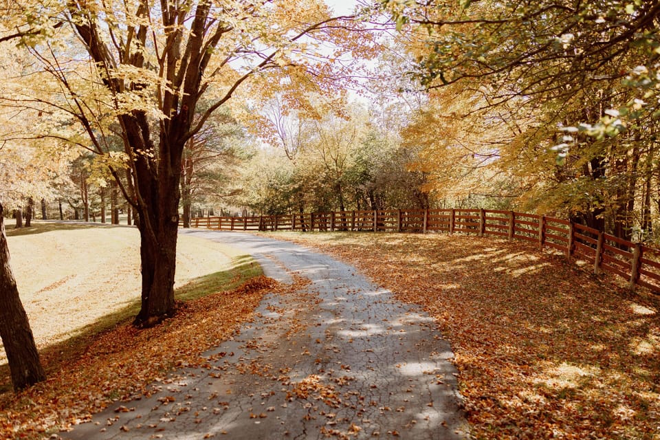 Quarter mile long picturesque driveway