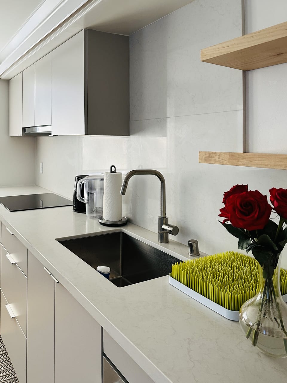 Kitchen Sink and Cooktop 
