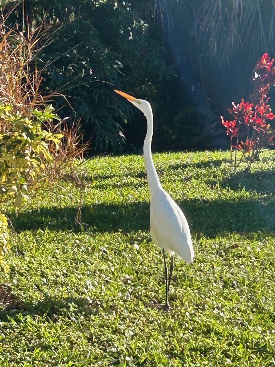 Along the walking path
