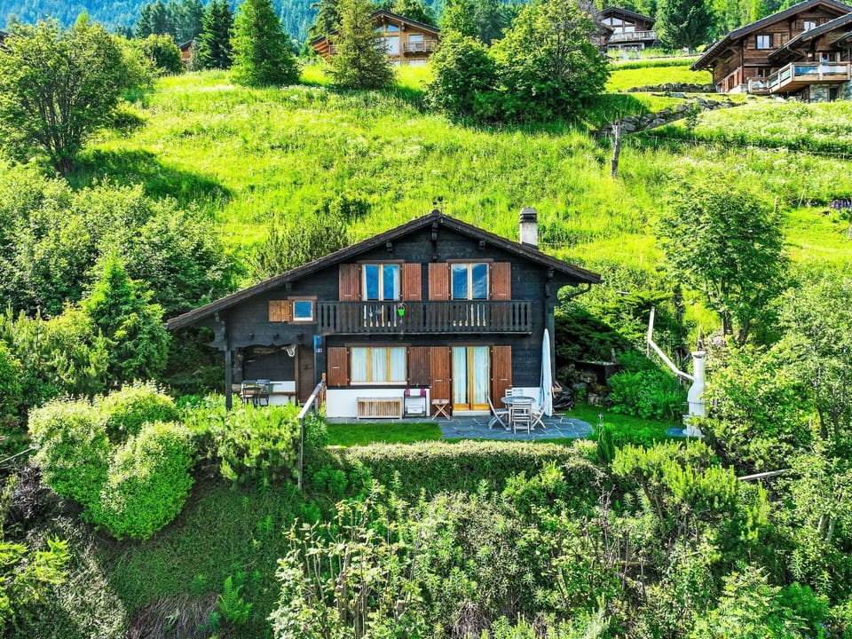 Plant, Property, Plant Community, Building, Natural Landscape, Natural Environment, Botany, House, Land Lot, Tree