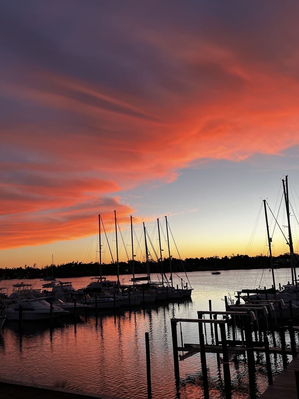 A perfect picture right out the window