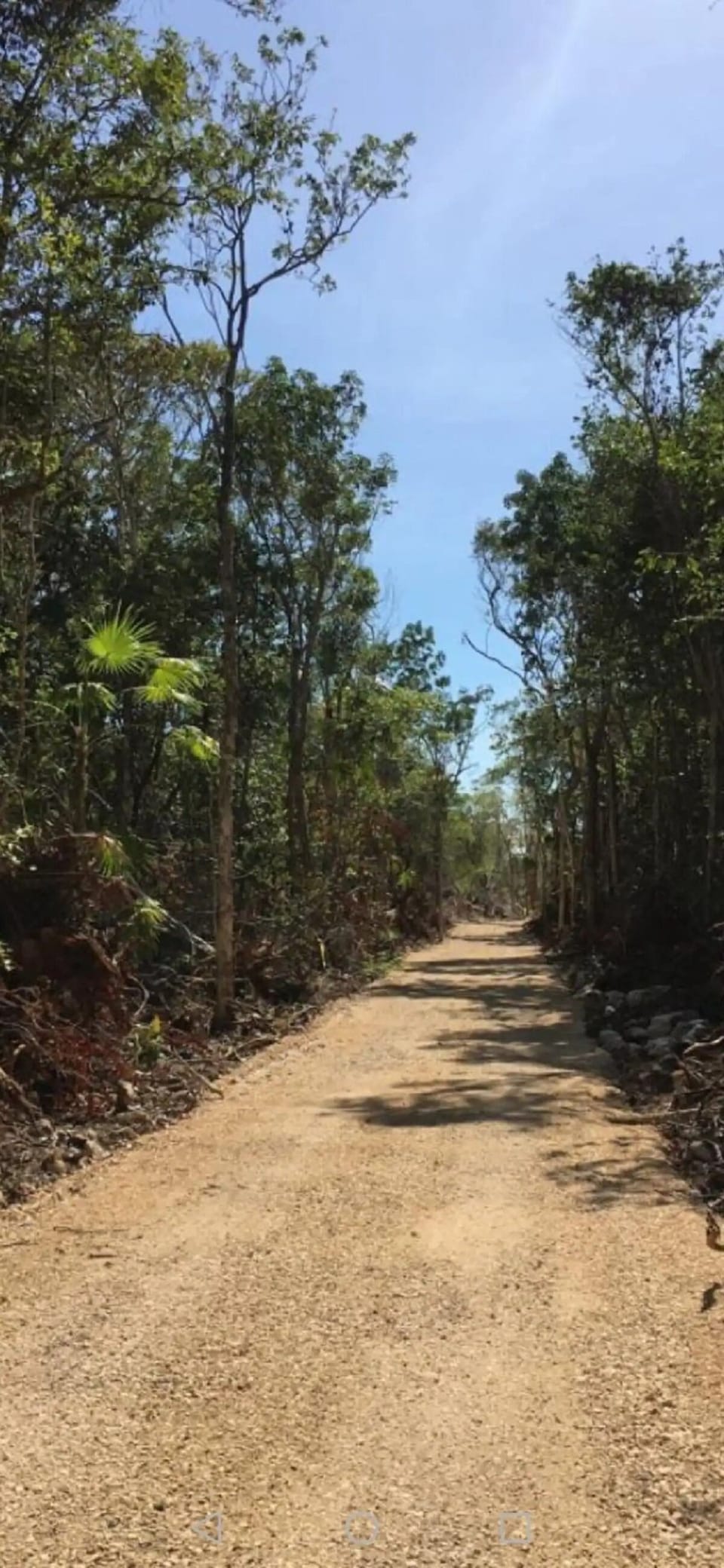 we are located in an upcoming neighborhood, dirt and bumpy roads.
