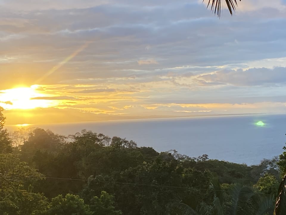 View from property