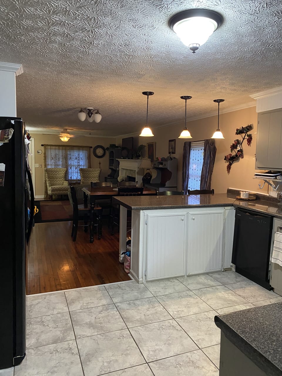 Open floor plan - kitchen, dining and den
