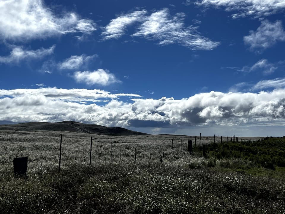 Upcountry is stunning.