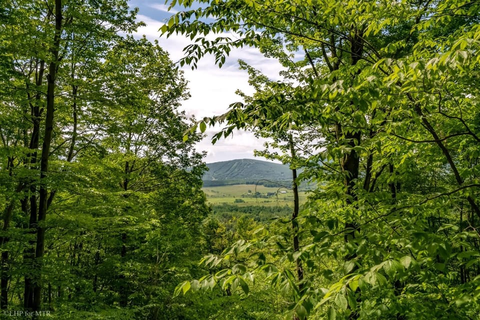 Main Level Deck View Summer