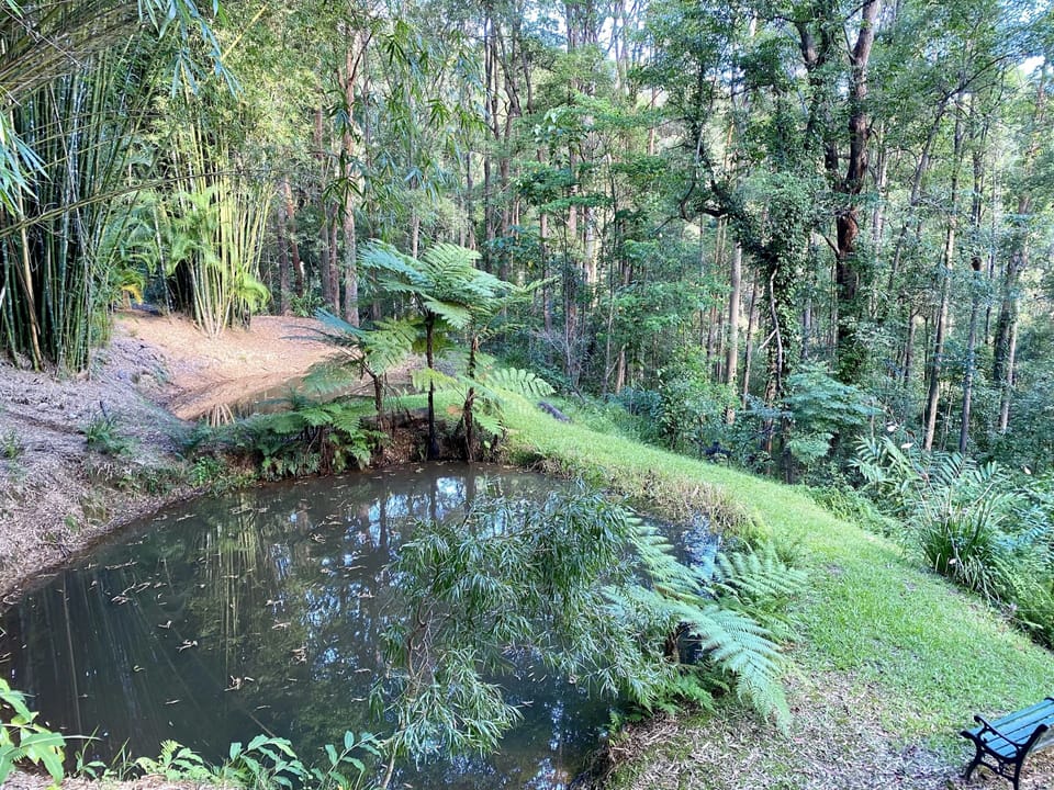 Peaceful environment