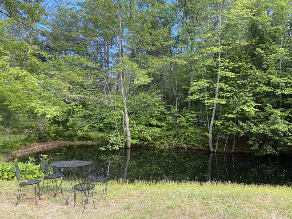 Trout in the pond !  NO fishing but you can feed them ! (trout food)