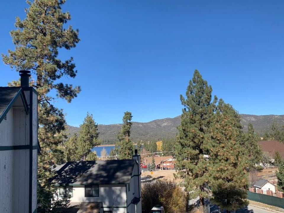 View from Master Bedroom