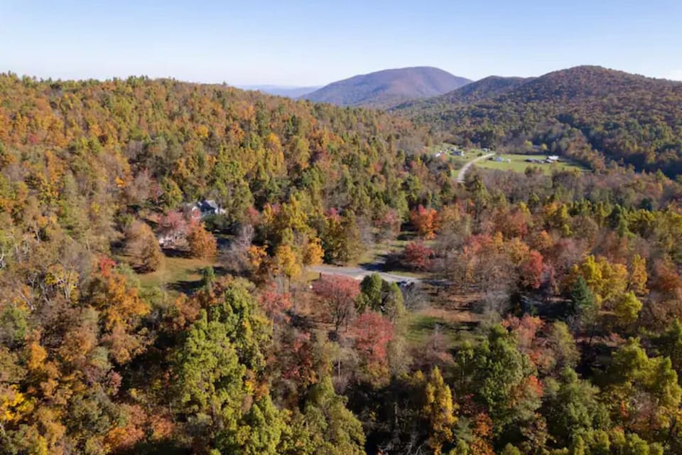 e8c045a1-f003-4f56-ab19-b51675404e47