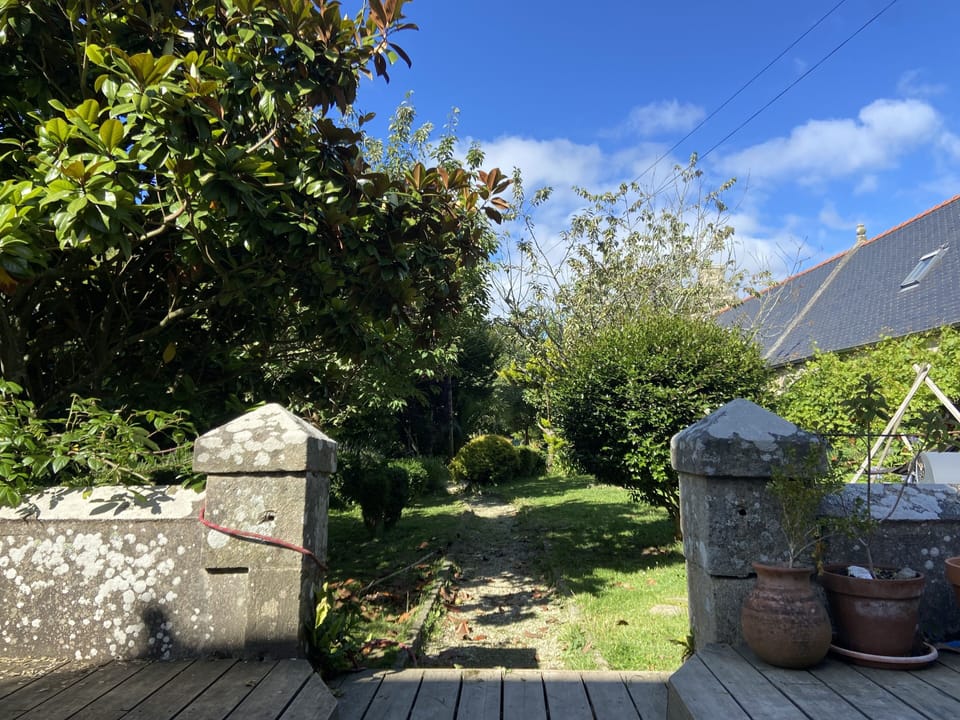 Back Garden