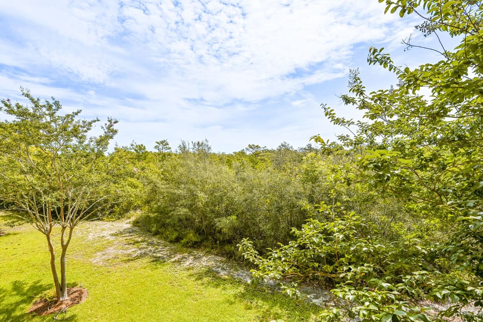 Green Space Behind Condo