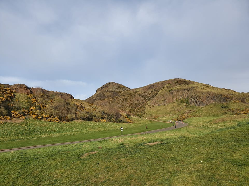 Image 15