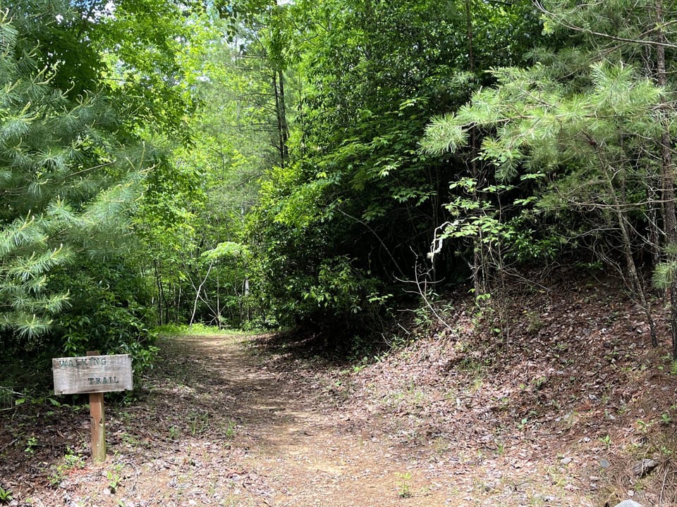 Our hiking trail at the end of our driveway, just shy of 1.5 miles.