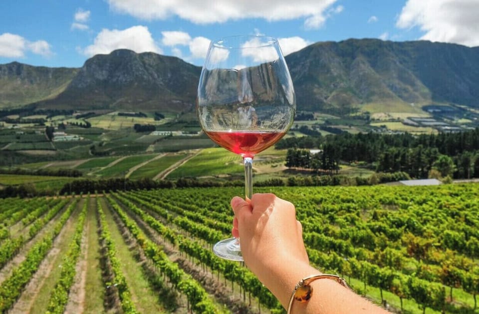 Wine tasting at the local wine farms is a must . Just a 10 minute drive .