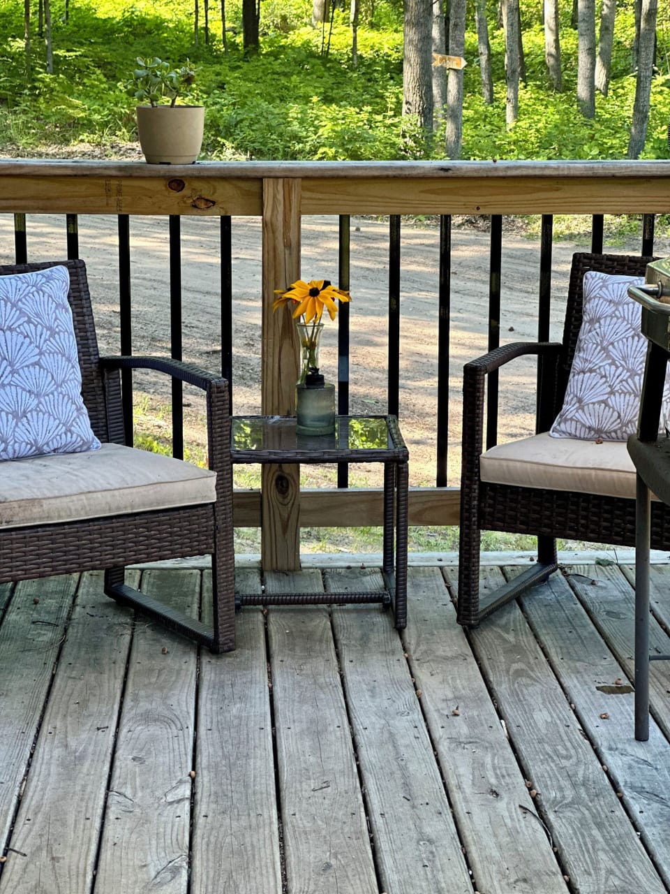 Deck sitting is our specialty!