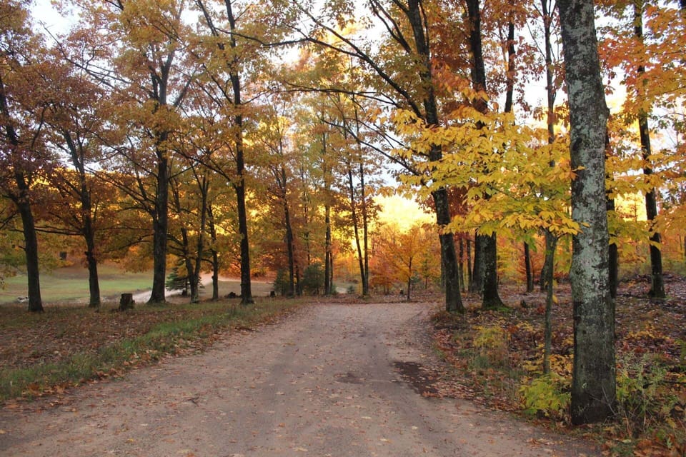 Off the beaten path...
