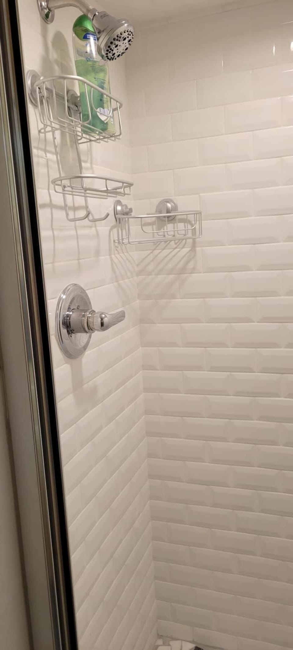 Master bathroom tile shower