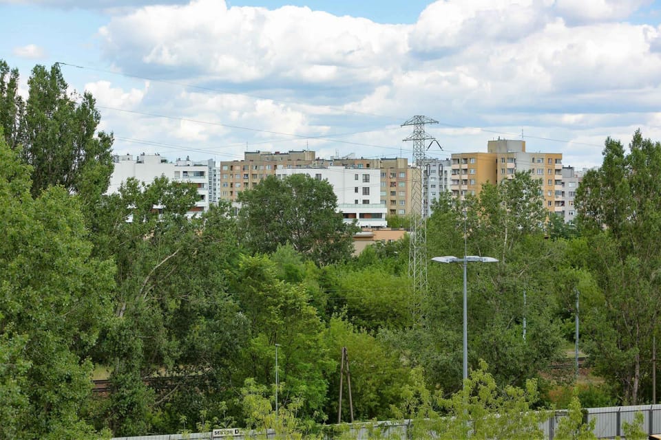 A view from the apartment window, overlooking a peaceful, green neighborhood.
