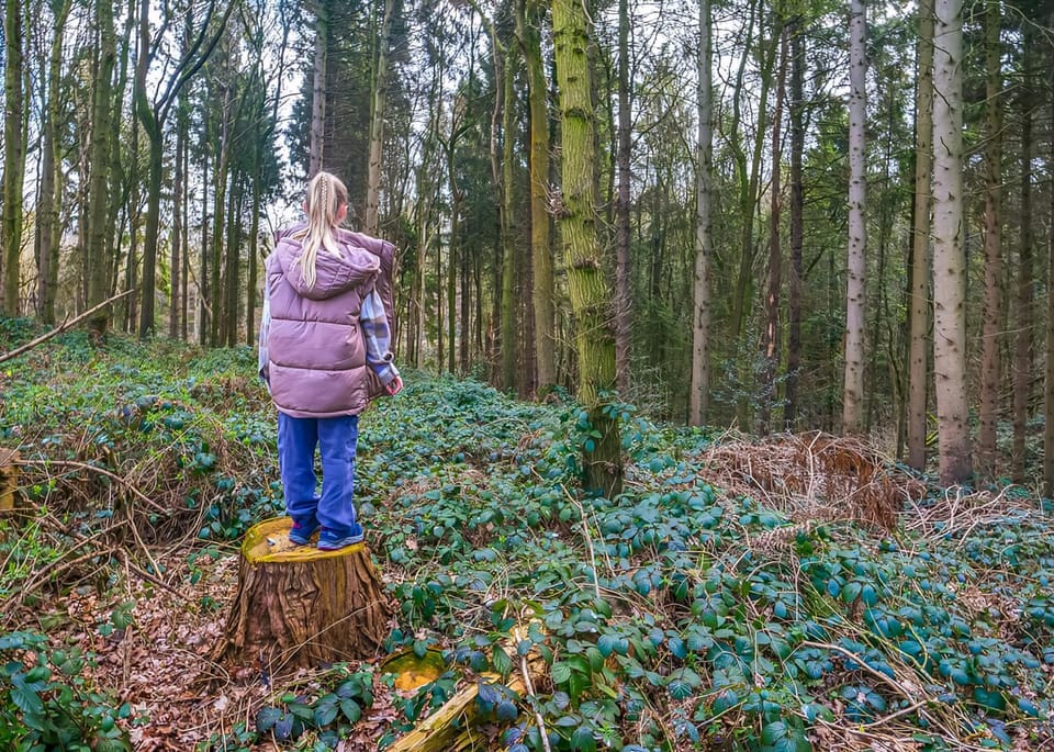 Woodland Park Lodges, Ellesmere