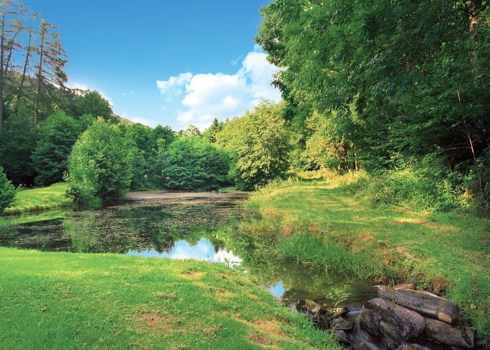The park setting