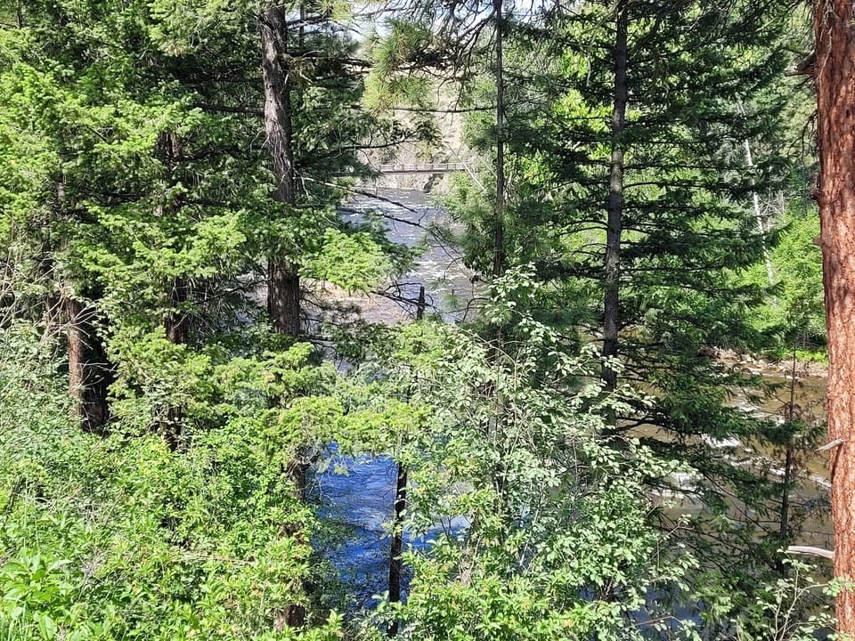 Looking west toward the walking bridge over the river...
