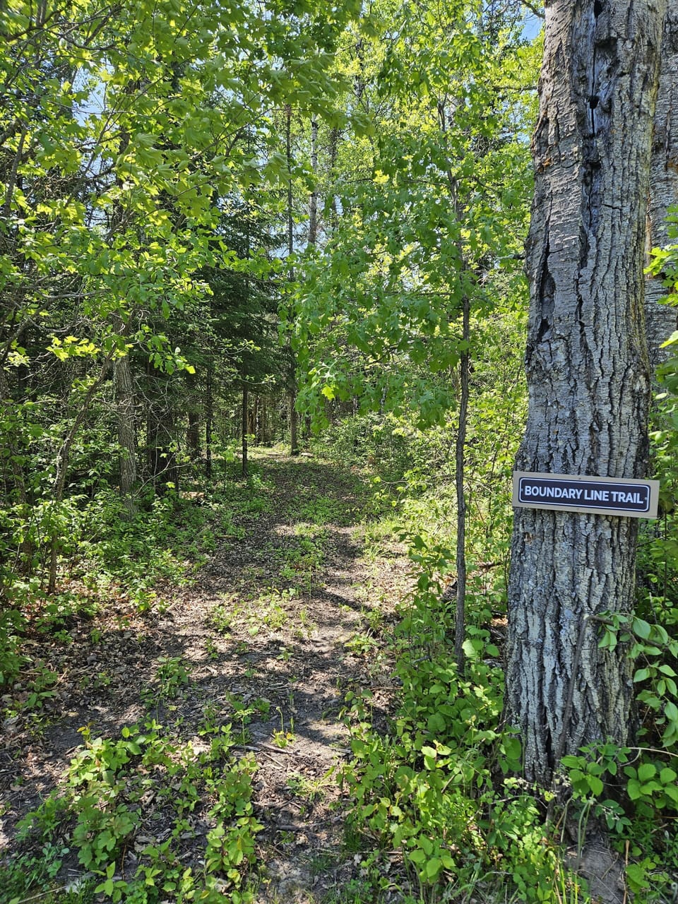 Connect with nature on our trails! 