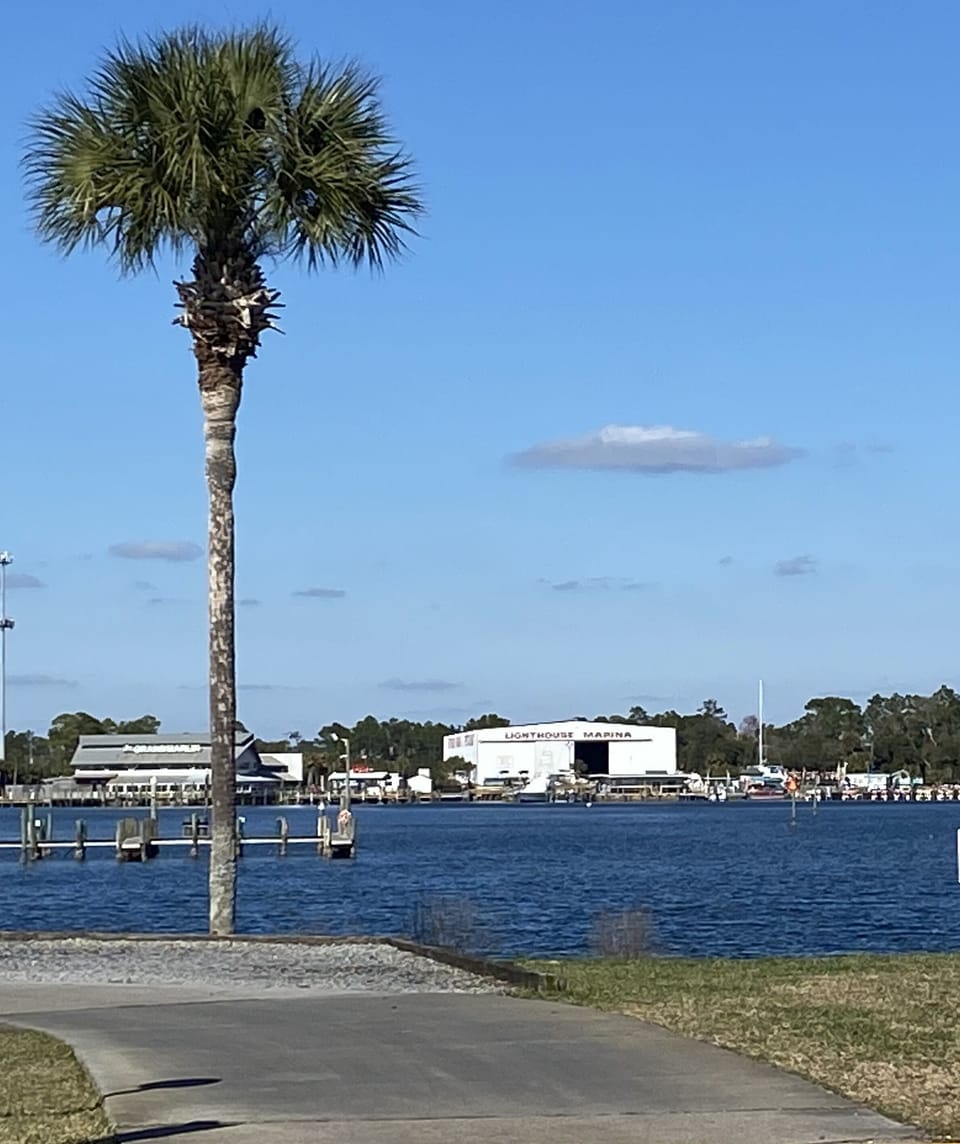 Lagoon
